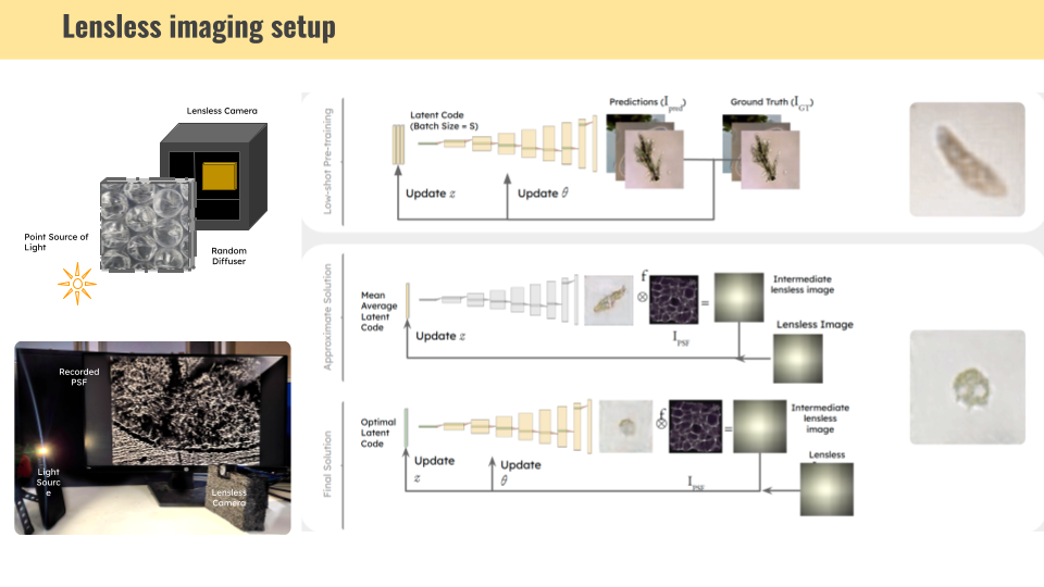 Slide 6